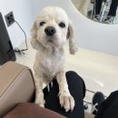 순자헤어샵 이미지