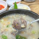 교동찹쌀순대 | 속초 아바이마을 맛집 추천 동해순대국 속초 가볼만한곳