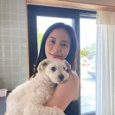 홍지희 카카오 검색결과