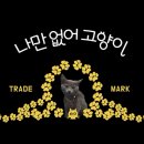 나만없어고양이 이미지