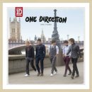 [3120] One Direction - What Makes You Beautiful (수정) 이미지