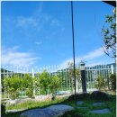 더힐글램핑 | 비 오는 날에도 완벽한 캠핑, 더힐글램핑 후기