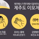 신종 코로나 바이러스로 인한 제주도 이모저모 이미지