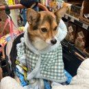 노브랜드 인천당하점 이미지