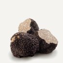 서양 최애버섯 Truffle(트러플, 송로 松露 버섯) 이야기 이미지