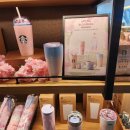 지오엠디 이미지