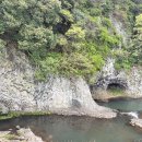 제주 올레길 9코스 이미지