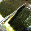 소풍꼬마김밥 이미지