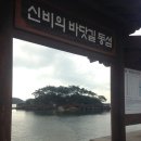 베어브릭# 벚꽃놀이 2탄 경주 국립 박물관 (부제 겁나 늦어버린 여행후기)