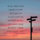 하이쉬 이미지