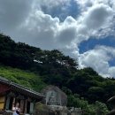 삼랑진소머리곰탕 | 우리 가족의 오래된 명소, 만어사🎐