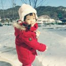 보미사 이미지