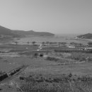 청산도봄 이미지