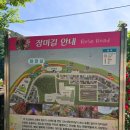 장미길 | [단양] 단양여행 장미터널 솔직후기 | 장미길 힐링과 아름다운 자연뷰