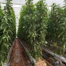 선한부자농장 이미지