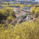 (주)남도