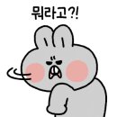 달달애 - 의정부시 용현로 144 | 달달애