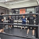 용인대SM복싱클럽 길동점 이미지