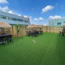 위드멍 애견유치원 이미지