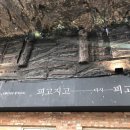 카페피고지고 이미지