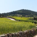 청산도횟집 - 용인시 수지구 현암로 28 | 청산도횟집