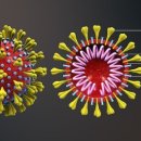 바이러스 이미지