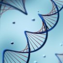 미래유전자 이미지