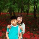 경산서부초등학교 Daum카페