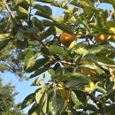 다감농장 이미지