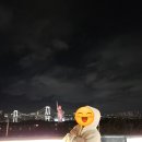 도쿄여행 1일차(2) :: 오다이바 야경, 아쿠아시티 신짱 팝업스토어, 아메야요코초 멘야무사시 츠케멘 후기