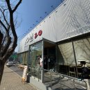 행복한 동물병원 | 대구 현풍 테크노폴리스 샤브20 무한리필 샤브 가성비 맛집 후기