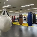 원펀치복싱클럽 이미지