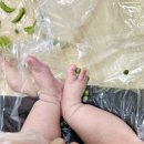 오감플러스원 이미지