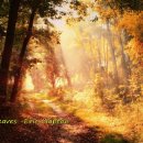 삼청약국 이미지