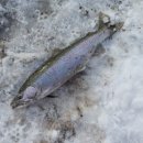 거궁회관 이미지