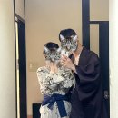 벚꽃 온천 🌸 : 유후인 료칸 “유리(yuri)”
