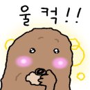 화로부산양곱창 이미지