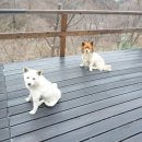 하늘정원까페