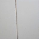 피톤바이오 이미지