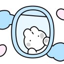 365드림동물약국 이미지