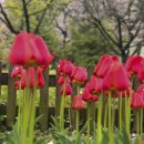 연지공원2 이미지