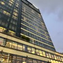 파고다택시 | 중국 항저우 호텔 추천 파고다 빈장 3박 4일 내돈내산 후기