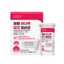 락만도 이미지