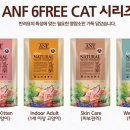 케어프리(care free) 이미지