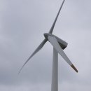 초록목장 이미지