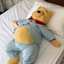 태후사랑(엄궁2호점) | 25년 상반기 일상조각 둘