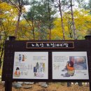 노추산 Daum카페