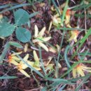 복사골공원 이미지