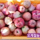 남영농원 이미지