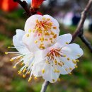 빛 살 -울림 이미지